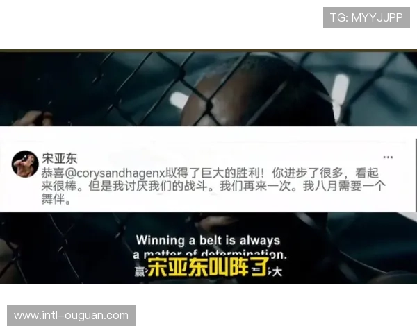 历史数据对比：桑德哈根对阵摔跤背景选手胜率不足40%